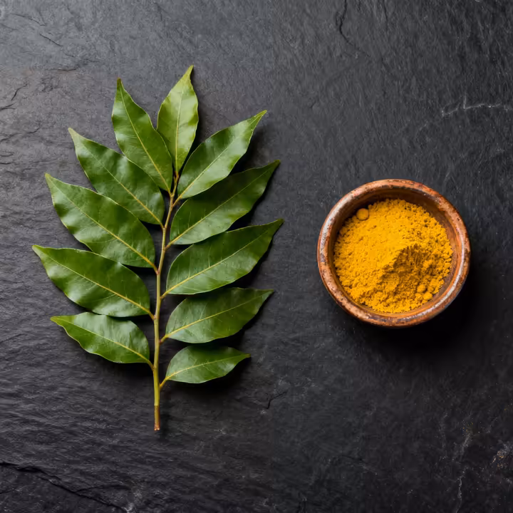 A visual comparison showing a sprig of fresh curry leaves on one side and a pile of yellow curry powder on the other, clearly distinguishing the two.