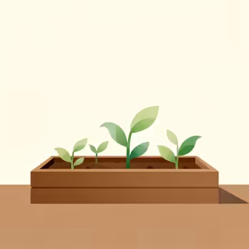 Raised Garden Beds 101